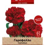 Γαρύφαλλο Κοινό Διπλό Κόκκινο φάκελος σπόρων