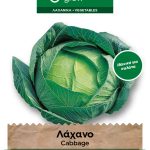 Λάχανο Όψιμο φάκελος σπόρων