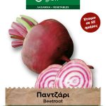 Παντζάρι Στρογγυλό Δίχρωμο φάκελος σπόρων