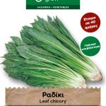 Ραδίκι Ήμερο φάκελος σπόρων