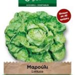 Μαρούλι Σαλάτα φάκελος σπόρων