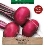 Παντζάρι Πεπλατυσμένο Αιγύπτου φάκελος σπόρων