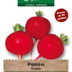 Ραπάνι Γίγας Κόκκινο φάκελος σπόρων