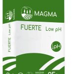 magma 17 22 0