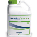 avadex factor 10l