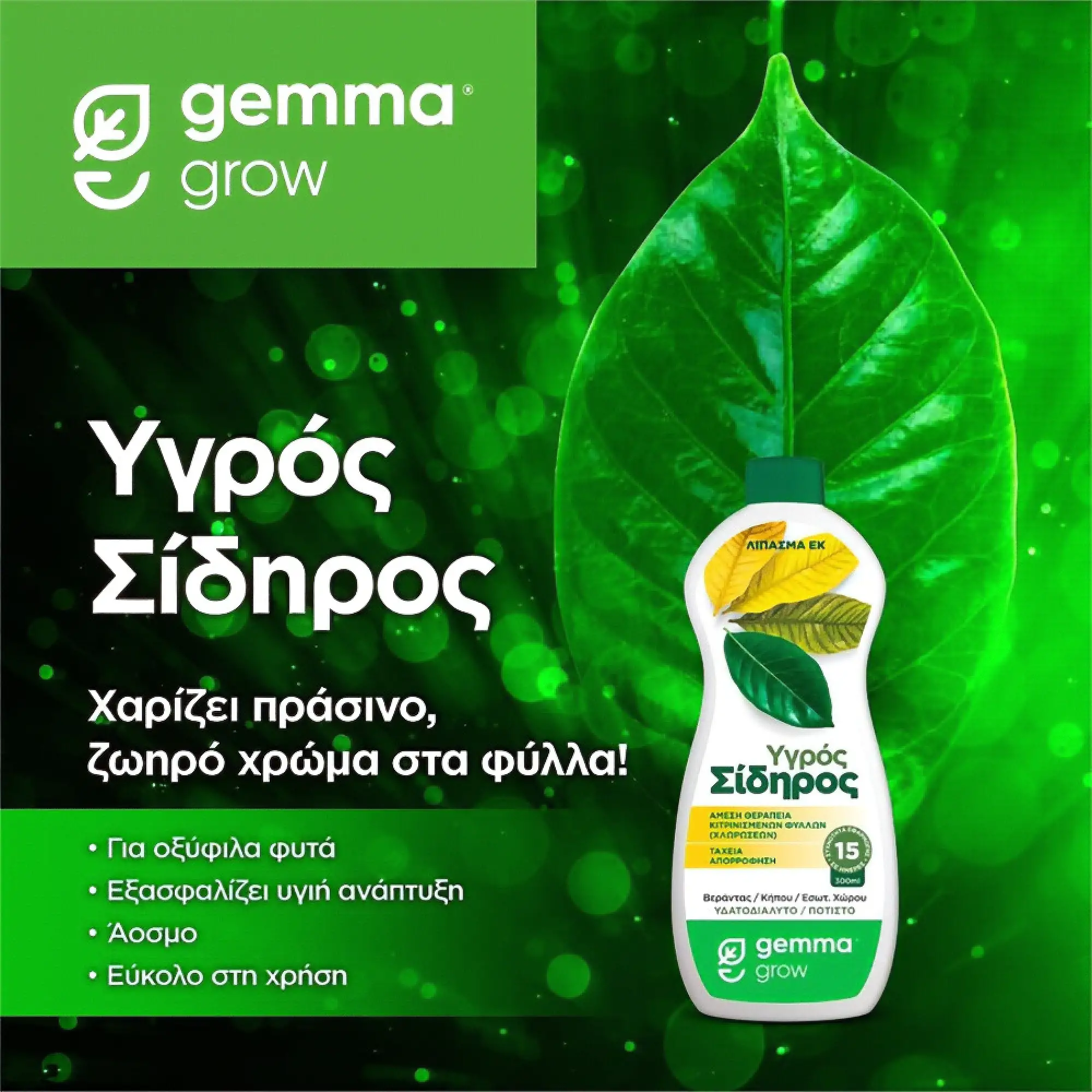 ΛΙΠΑΣΜΑ ΥΓΡΟΣ ΣΙΔΗΡΟΣ gemma 300ml ΛΙΠΑΣΜΑ ΥΓΡΟΣ ΣΙΔΗΡΟΣ gemma 300ml