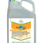 ΖΙΖΑΝΙΟΚΤΟΝΟ ΣΙΤΗΡΩΝ pacifica plus 500g 3kg