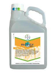 ΖΙΖΑΝΙΟΚΤΟΝΟ ΣΙΤΗΡΩΝ pacifica plus 500g 3kg ΖΙΖΑΝΙΟΚΤΟΝΟ ΣΙΤΗΡΩΝ pacifica plus 500g 3kg