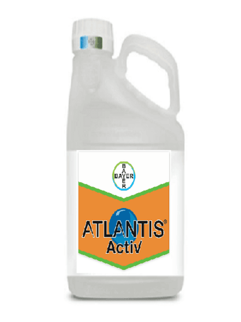 ΖΙΖΑΝΙΟΚΤΟΝΟ ΣΙΤΗΡΩΝ atlantis activ 330g 660g 2,64kg ΖΙΖΑΝΙΟΚΤΟΝΟ ΣΙΤΗΡΩΝ atlantis activ 330g 660g 2,64kg